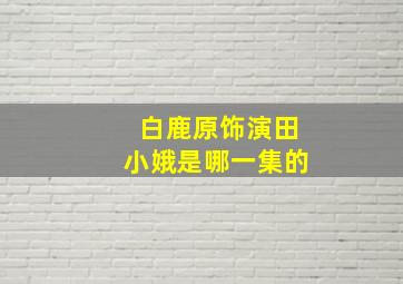 白鹿原饰演田小娥是哪一集的