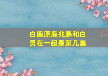 白鹿原鹿兆鹏和白灵在一起是第几集