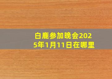 白鹿参加晚会2025年1月11日在哪里