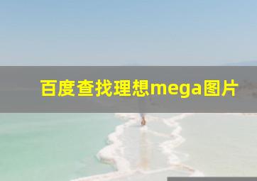 百度查找理想mega图片