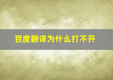 百度翻译为什么打不开