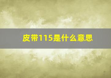 皮带115是什么意思