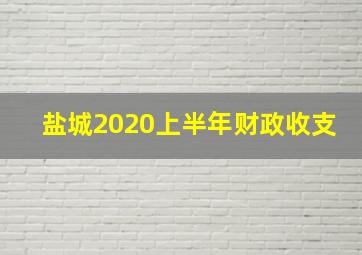 盐城2020上半年财政收支