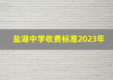 盐湖中学收费标准2023年