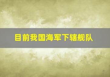 目前我国海军下辖舰队