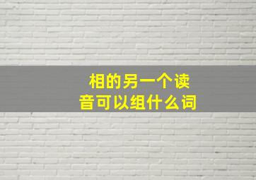 相的另一个读音可以组什么词