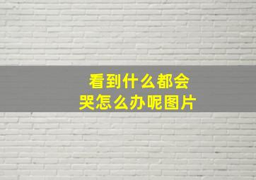 看到什么都会哭怎么办呢图片