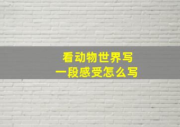 看动物世界写一段感受怎么写