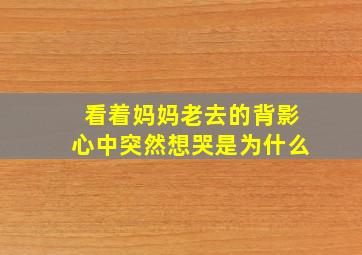 看着妈妈老去的背影心中突然想哭是为什么