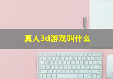 真人3d游戏叫什么