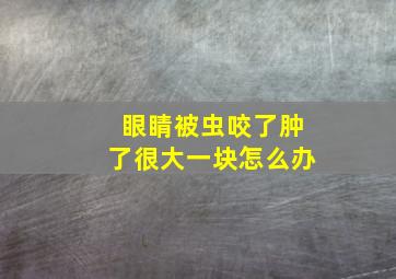 眼睛被虫咬了肿了很大一块怎么办