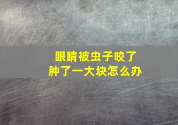 眼睛被虫子咬了肿了一大块怎么办