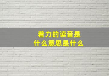 着力的读音是什么意思是什么