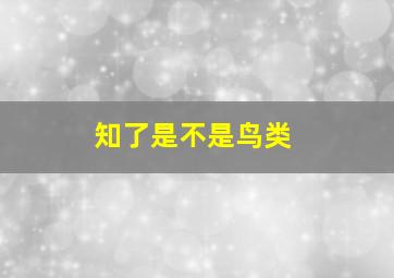 知了是不是鸟类