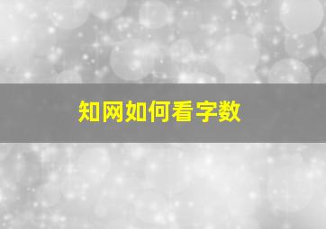 知网如何看字数