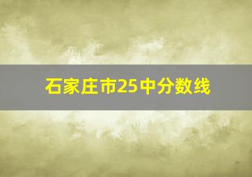 石家庄市25中分数线