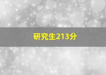 研究生213分