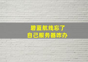 碧蓝航线忘了自己服务器咋办