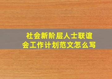 社会新阶层人士联谊会工作计划范文怎么写