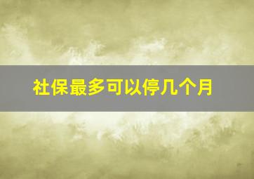 社保最多可以停几个月