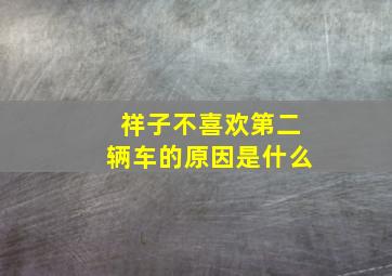 祥子不喜欢第二辆车的原因是什么