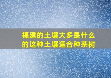 福建的土壤大多是什么的这种土壤适合种茶树