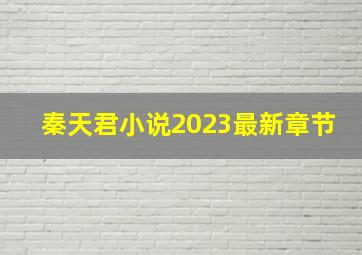 秦天君小说2023最新章节