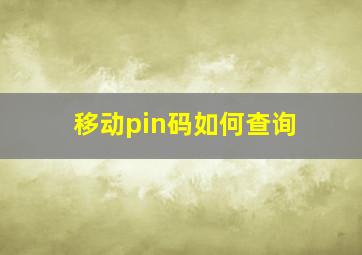 移动pin码如何查询