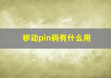 移动pin码有什么用