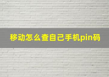 移动怎么查自己手机pin码