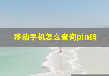 移动手机怎么查询pin码