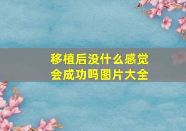 移植后没什么感觉会成功吗图片大全