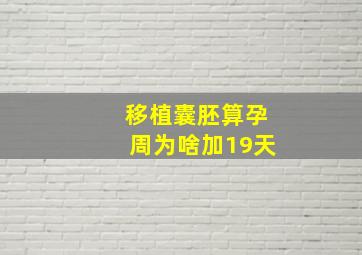 移植囊胚算孕周为啥加19天