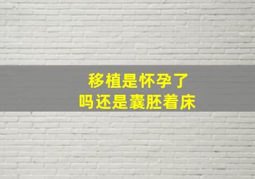 移植是怀孕了吗还是囊胚着床