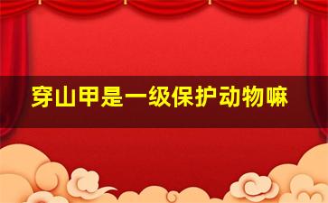 穿山甲是一级保护动物嘛