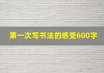 第一次写书法的感受600字