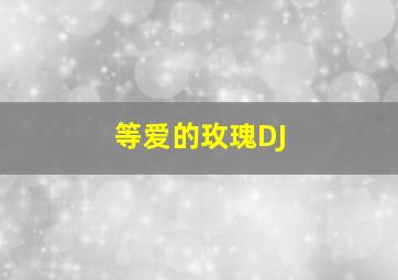 等爱的玫瑰DJ