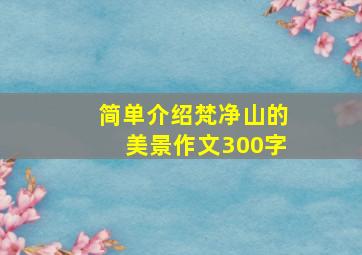 简单介绍梵净山的美景作文300字