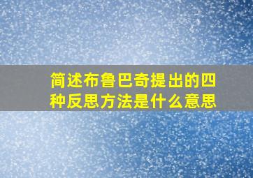 简述布鲁巴奇提出的四种反思方法是什么意思