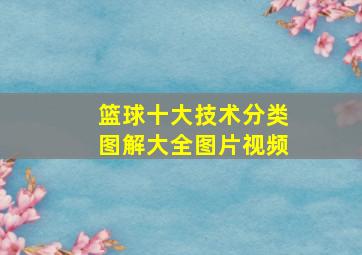 篮球十大技术分类图解大全图片视频