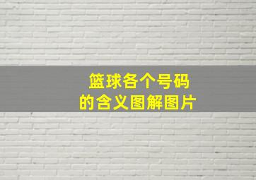 篮球各个号码的含义图解图片