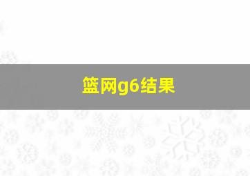 篮网g6结果