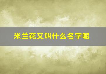 米兰花又叫什么名字呢