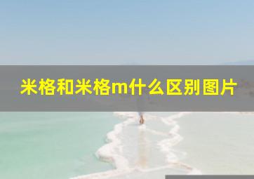 米格和米格m什么区别图片