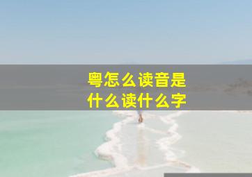 粤怎么读音是什么读什么字