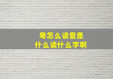 粤怎么读音是什么读什么字啊