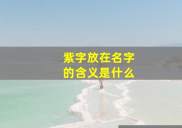 紫字放在名字的含义是什么