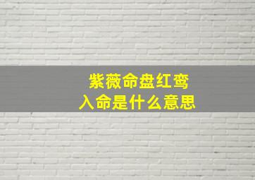 紫薇命盘红鸾入命是什么意思