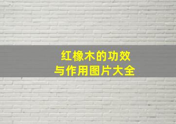 红橡木的功效与作用图片大全