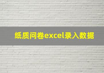 纸质问卷excel录入数据